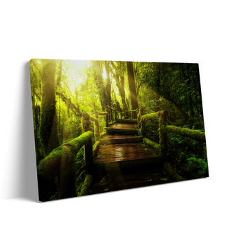 FOREST PATH